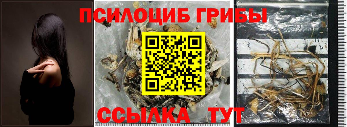 Великий Новгород  Галлюциногенные грибы Psilocybe  Псилоцибиновые грибы Magic Shrooms  Вход с VPN 